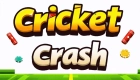 Logo cricketcrash.biz